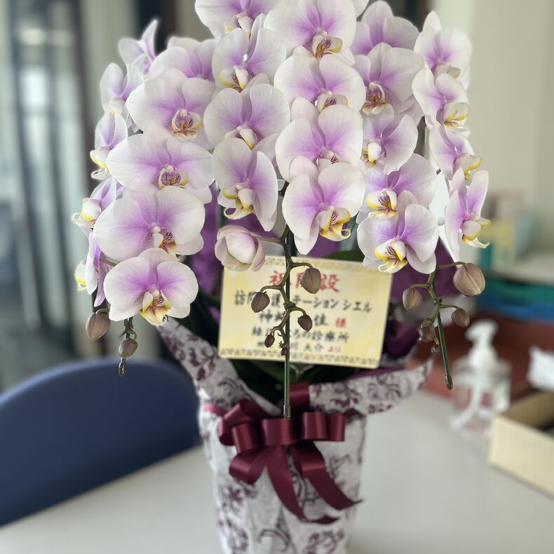 画像1419：お花